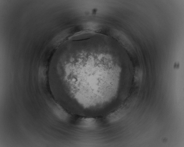 X0000102000409200807181209