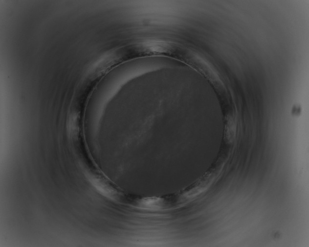 X0000102000410200807181209