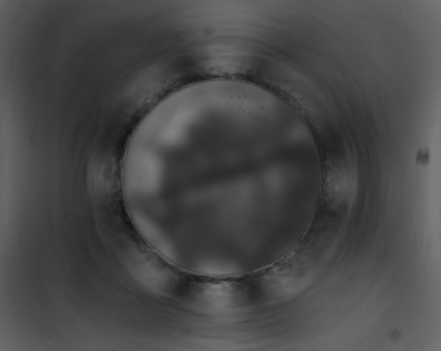 X0000102000411200807181209