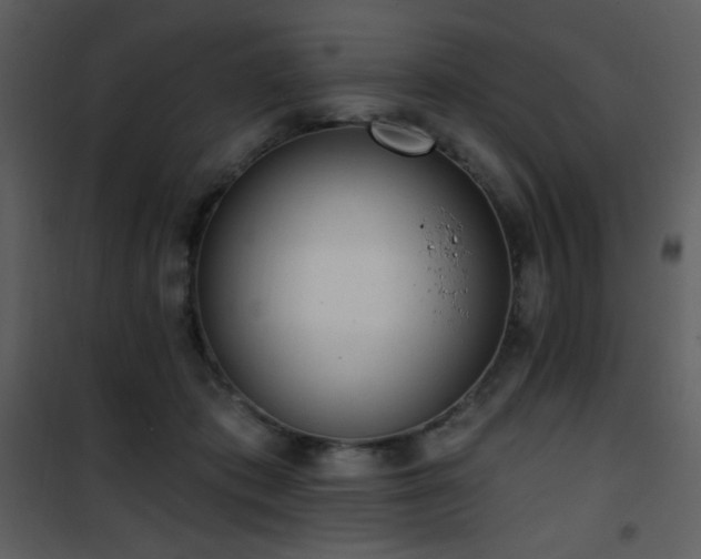 X0000102000413200807181209