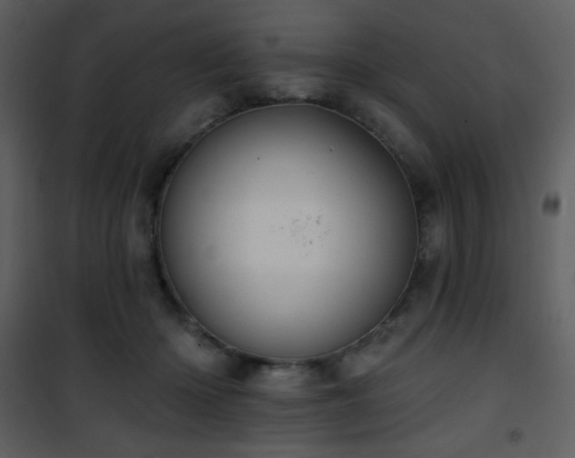 X0000102000414200807181209