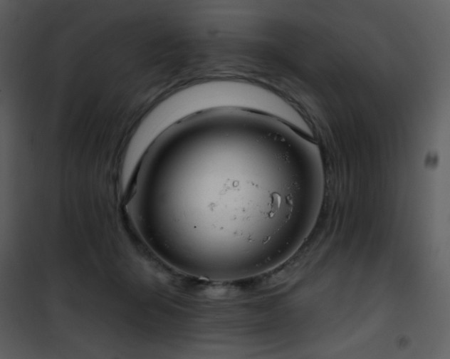 X0000102000415200807181209