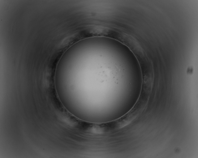 X0000102000416200807181209