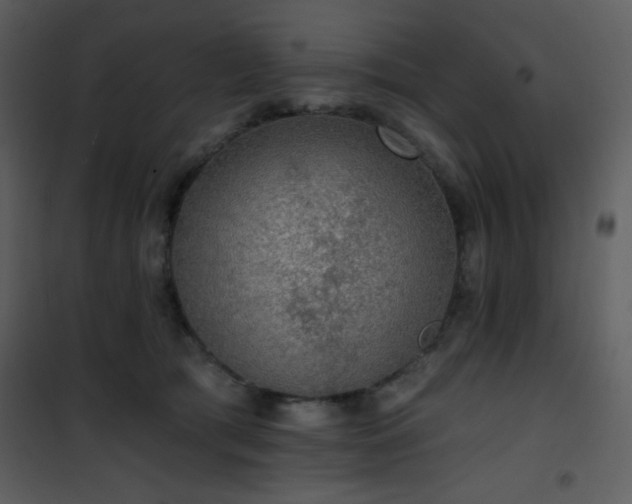 X0000102000417200807181209