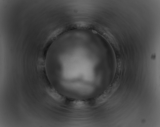 X0000102000419200807181209