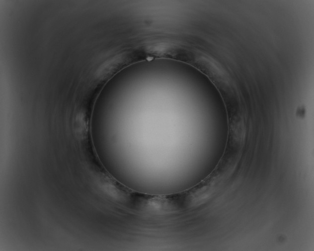 X0000102000420200807181209