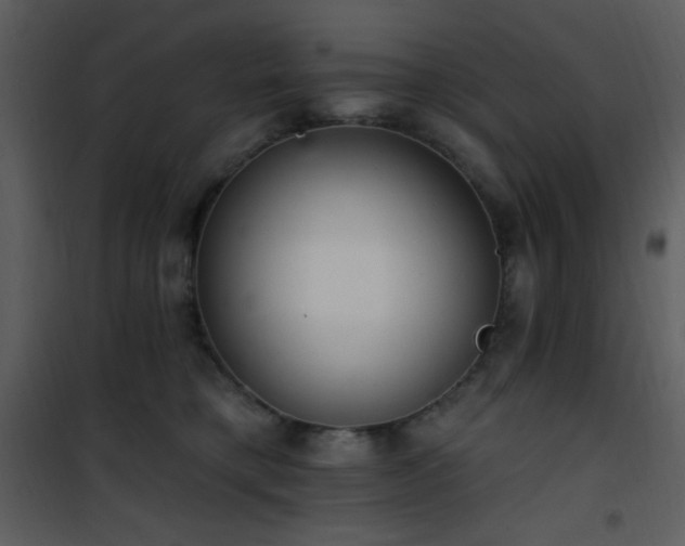 X0000102000421200807181209