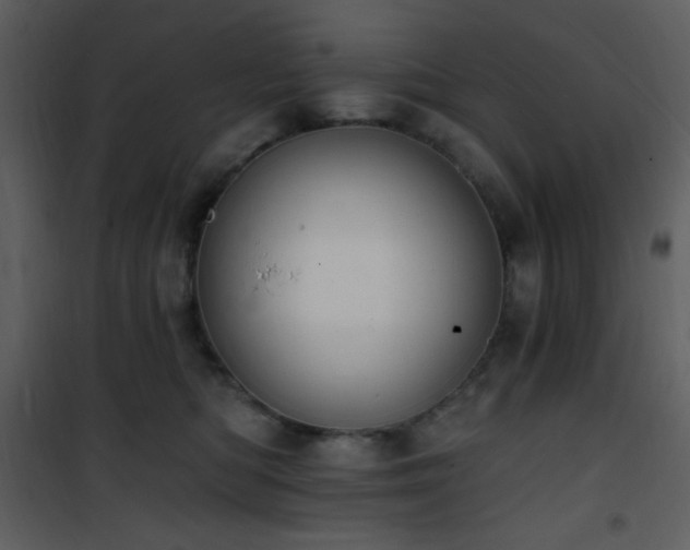 X0000102000422200807181209