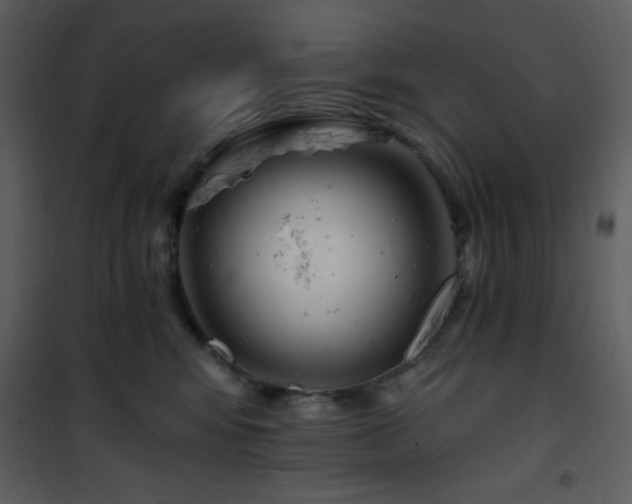 X0000102000424200807181209