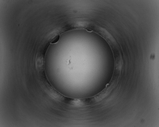 X0000102000425200807181209