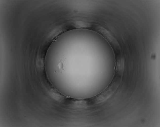 X0000102000426200807181209