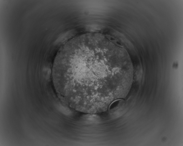 X0000102000427200807181209