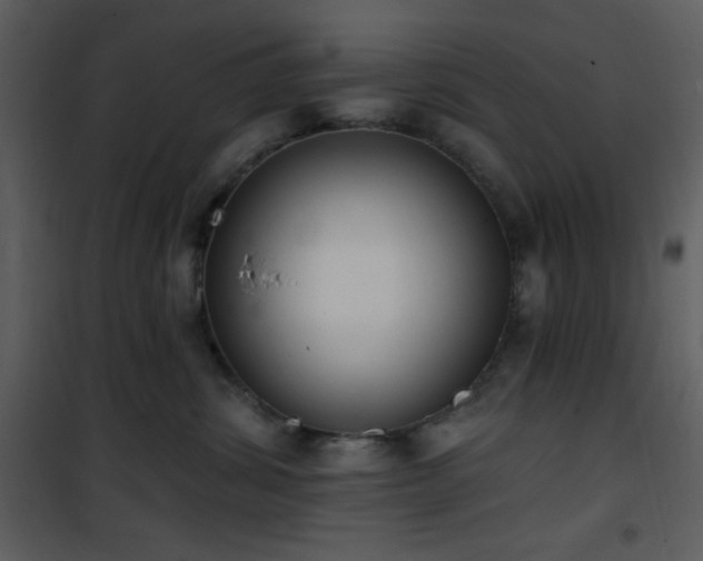 X0000102000428200807181209