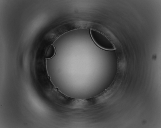 X0000102000429200807181209