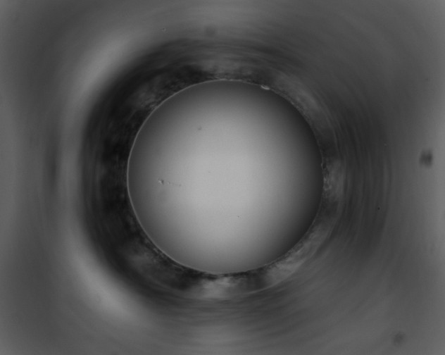 X0000102000430200807181209