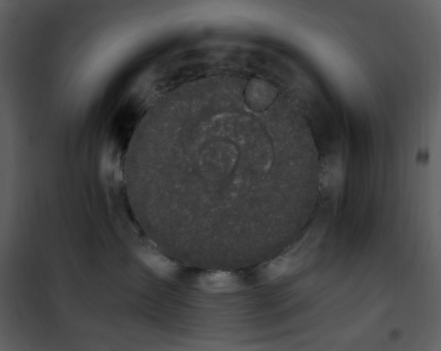 X0000102000431200807181209