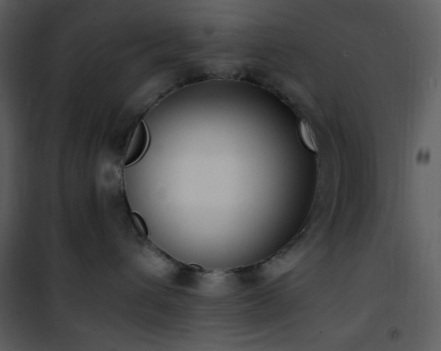 X0000102000432200807181209