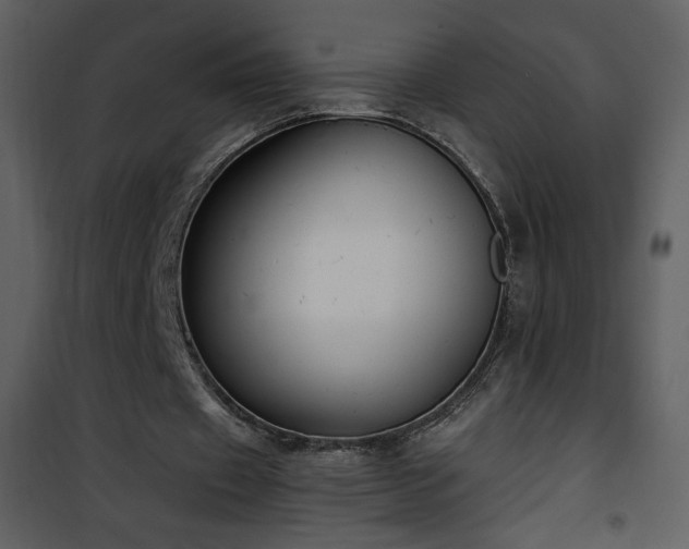 X0000102000433200807181208