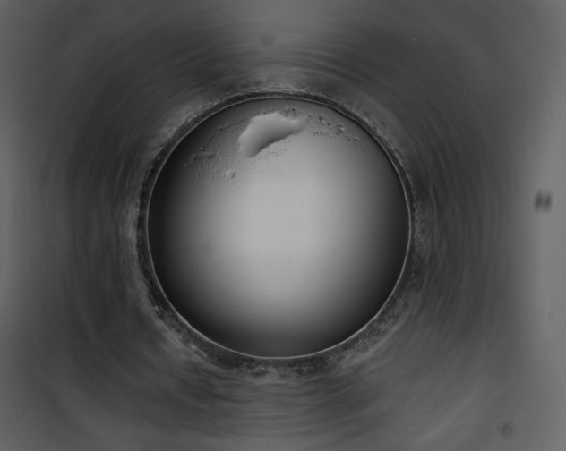 X0000102000434200807181208