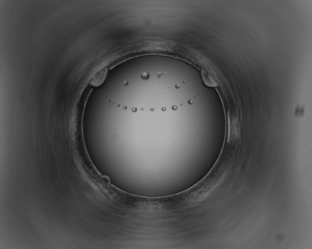 X0000102000435200807181208