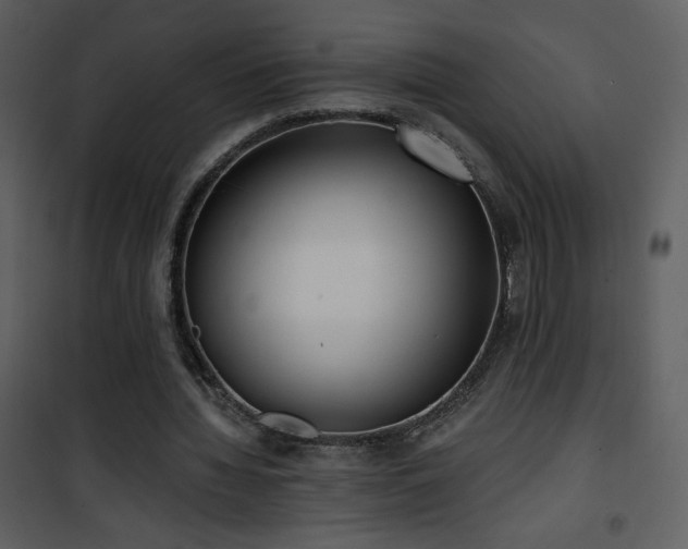 X0000102000436200807181208