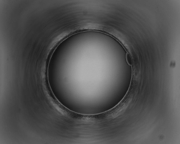 X0000102000437200807181208