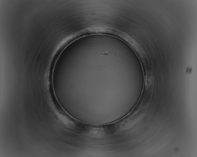 X0000102000438200807181208