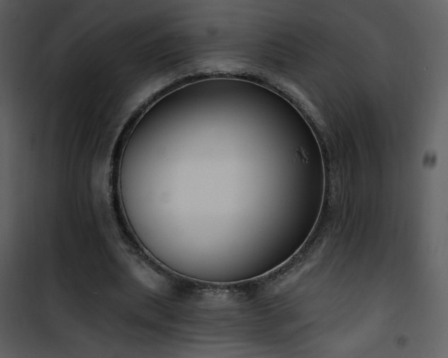 X0000102000439200807181208