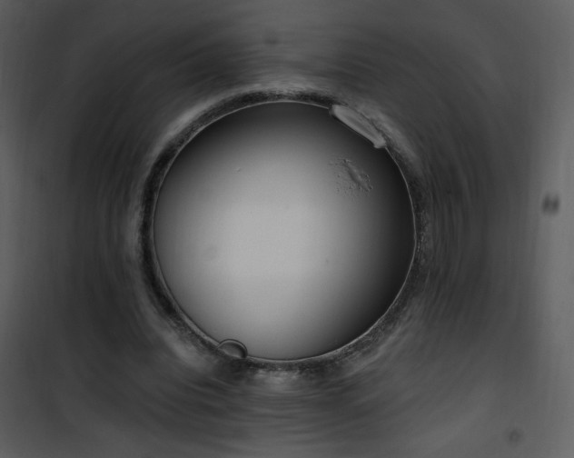 X0000102000440200807181208