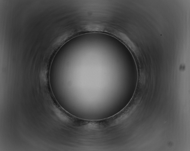 X0000102000441200807181208