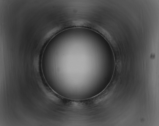 X0000102000442200807181208