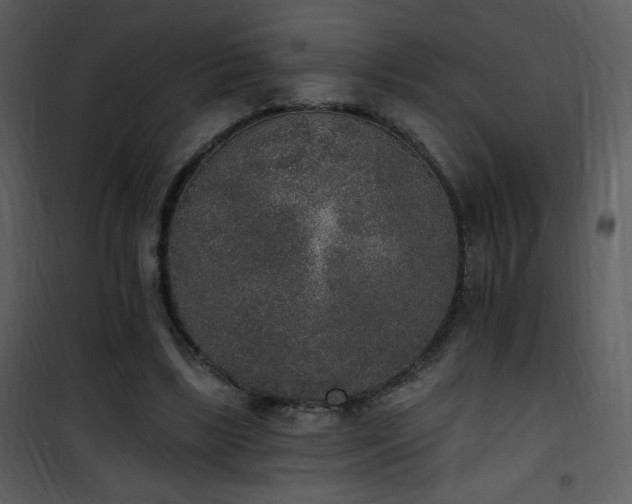 X0000102000443200807181209