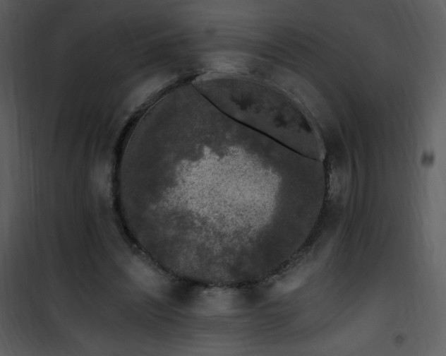 X0000102000444200807181209