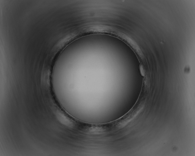 X0000102000445200807181209