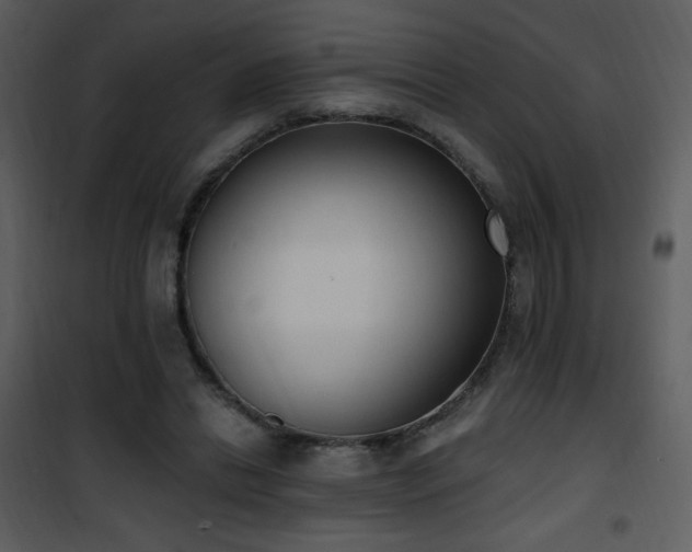 X0000102000446200807181209