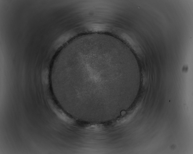 X0000102000447200807181209