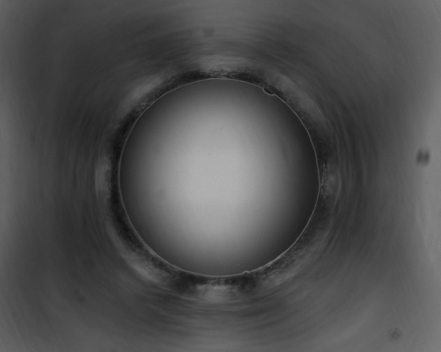 X0000102000448200807181209