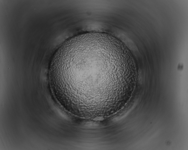 X0000102000449200807181209