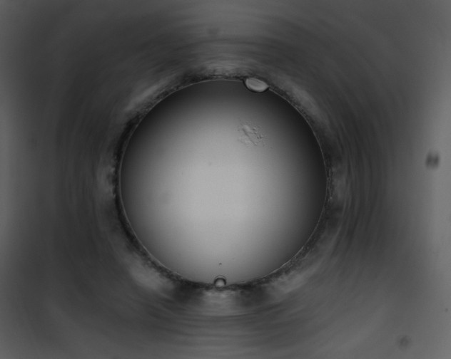 X0000102000450200807181209