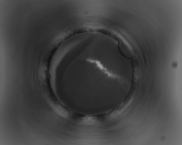 X0000102000451200807181209