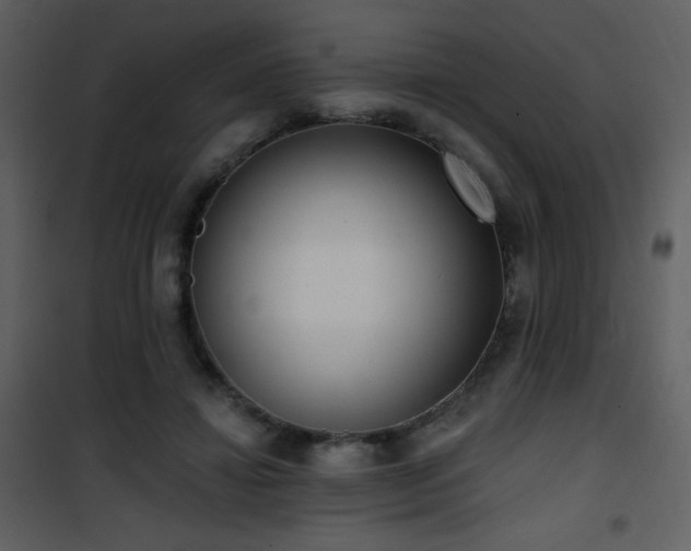 X0000102000452200807181209