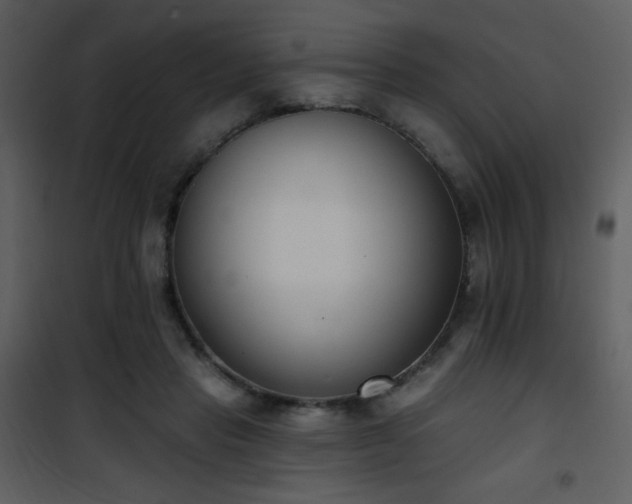 X0000102000453200807181209