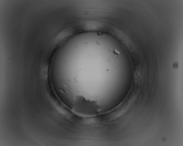 X0000102000454200807181209