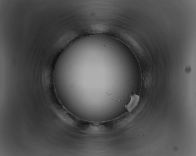 X0000102000455200807181209