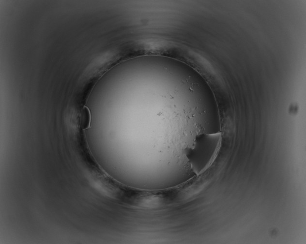 X0000102000456200807181209