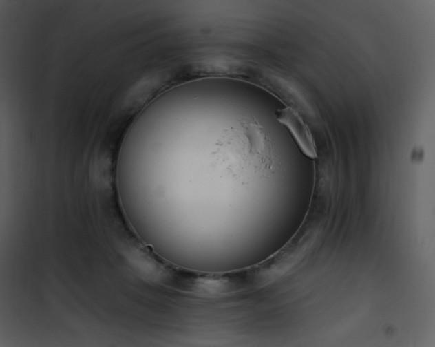 X0000102000457200807181209