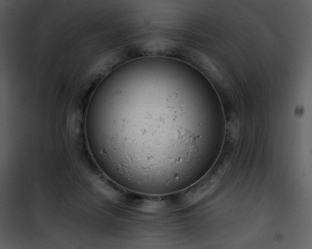 X0000102000458200807181209