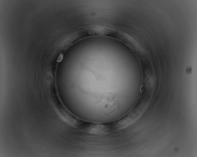 X0000102000459200807181209