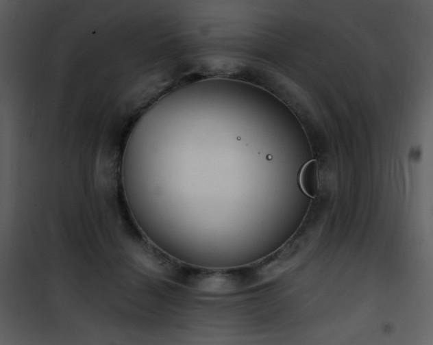 X0000102000460200807181209