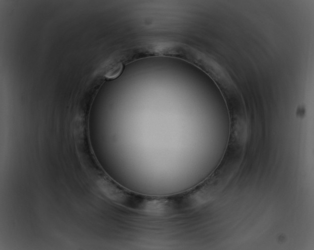 X0000102000461200807181209